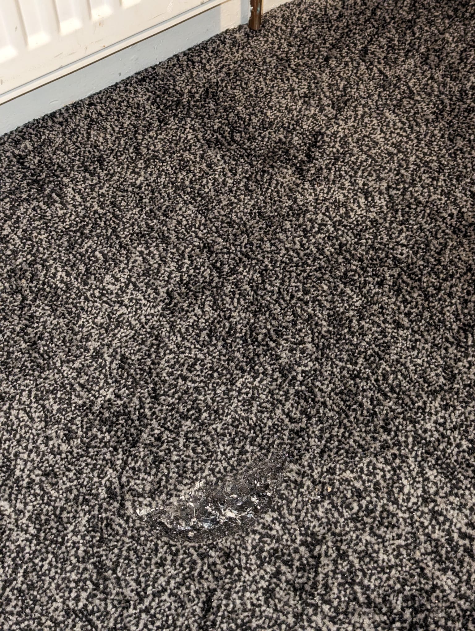 Large carpet burn repair